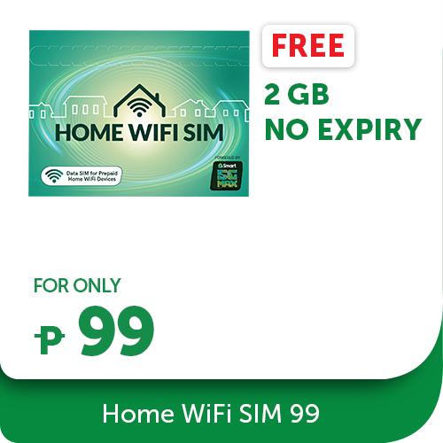 Smart Home WiFi SIM 99